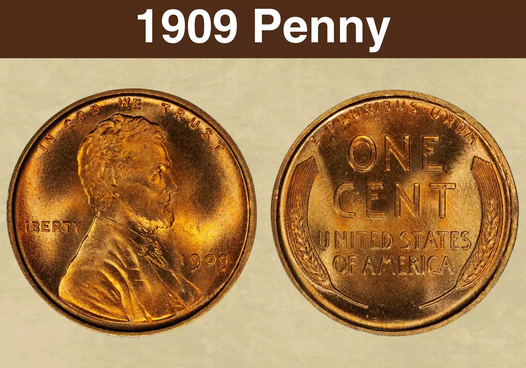 Group of 1909 wheat penny varieties including 1909-S VDB, 1909-S, 1909 VDB and 1909 Philadelphia cents arranged for comparison